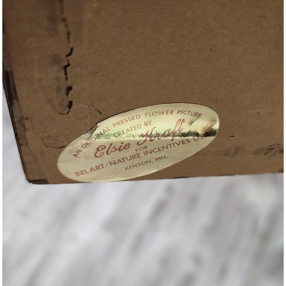 Vintage Pressed Flower Pictures By Elsie Kraft for Belart/Nature Incentives USA - Picture 11 of 11